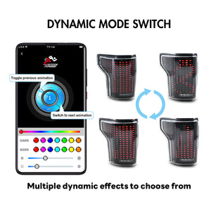TT-ABC Digital Tail Light for 2015-2020 Ford F150 Animation Control(Blind spot is not supported) - TT-ABC