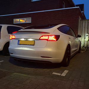 For 2017-2022 Tesla Model 3/Model Y LED Tail Lights (Eagle Rear Lights) - TT-ABC