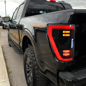 TT-ABC LED Tail Lights Assembly For Ford F-150 F150 XL STX 2022 2023 2024 Rear Lamps - TT-ABC